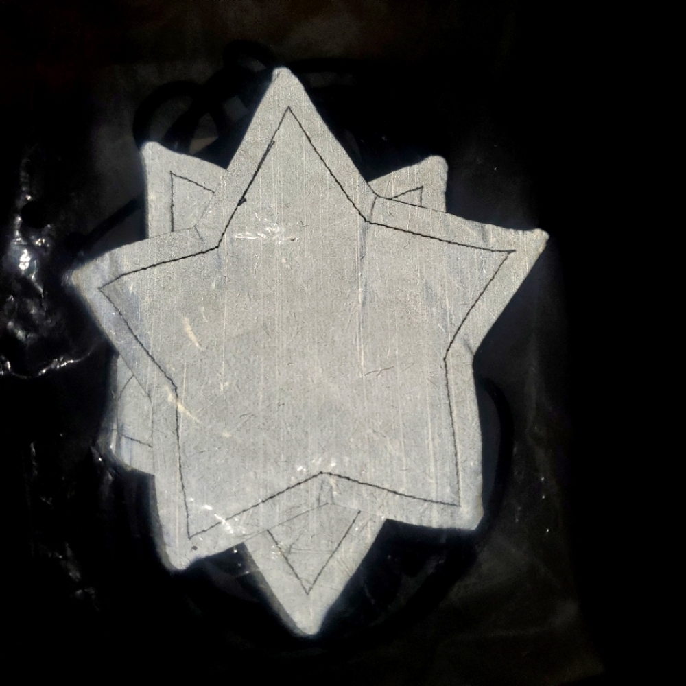 festival star pasties